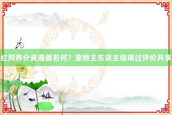 红狗养分膏遵循若何？宠物主东谈主信得过评价共享